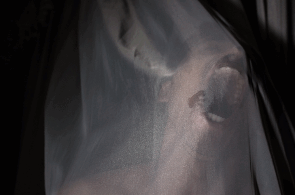 ilan-valdes-portfolio-2025-art-direction-photography-installation-queer-artist-peru-spain-canada-environmental-memory-trauma-sustainability